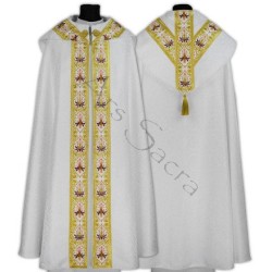 CAPA DE ASPERGE SEMIGÓTICA - ARS KY637-B25p