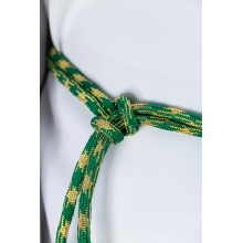 copy of CINGLE - ARS CINTURA-C