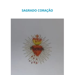 PÁLIO PARA PROCISSÃO- AAA 242